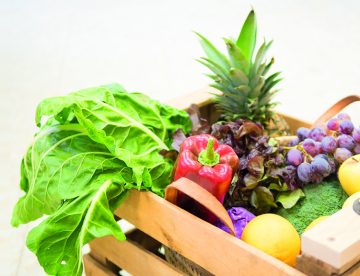blog-alimentacion-ecologica