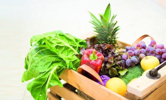 blog-alimentacion-ecologica