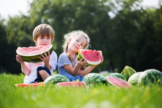 Fruta de temporada ecológica